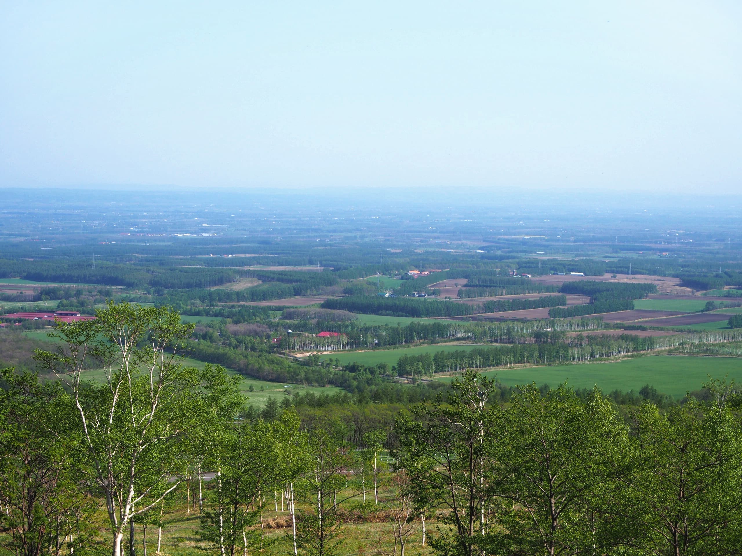 p5229654.jpg